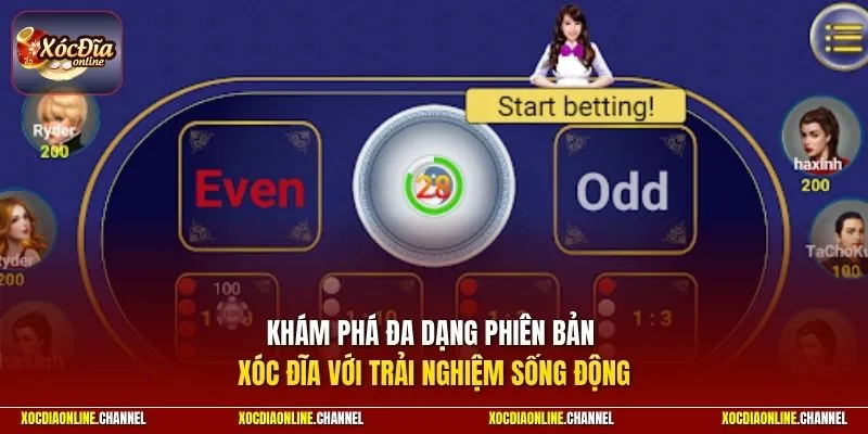 Khám phá đa dạng phiên bản xóc đĩa với trải nghiệm sống động